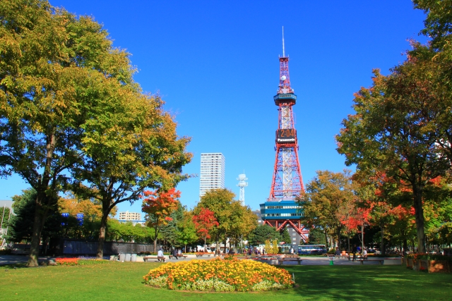 札幌－秋の大通公園