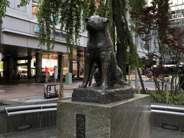 渋谷－ハチ公
